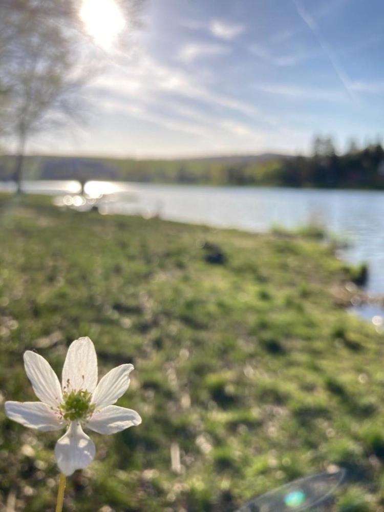 Valassky Hotel A Pivni Lazne Ogar Luhačovice 외부 사진